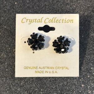 NWT crystal earrings